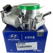 HYUNDAI / KIA - BODY ASSY-THROTTLE [3510025410]