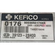 Soul - Used ECU [391232B400]